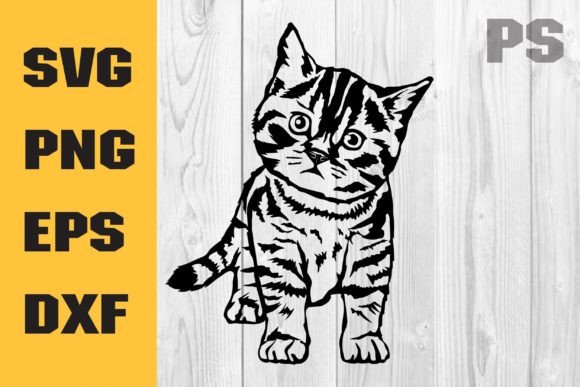 Baby Cat Svg, Cute Cats SVG